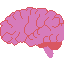 Brain
